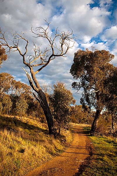 the path2.jpg